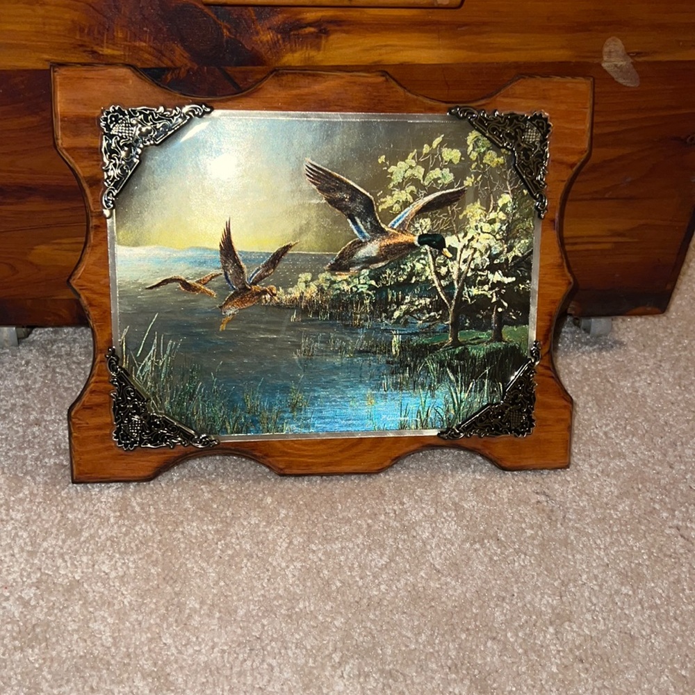 Beautiful Duck Wall Picture